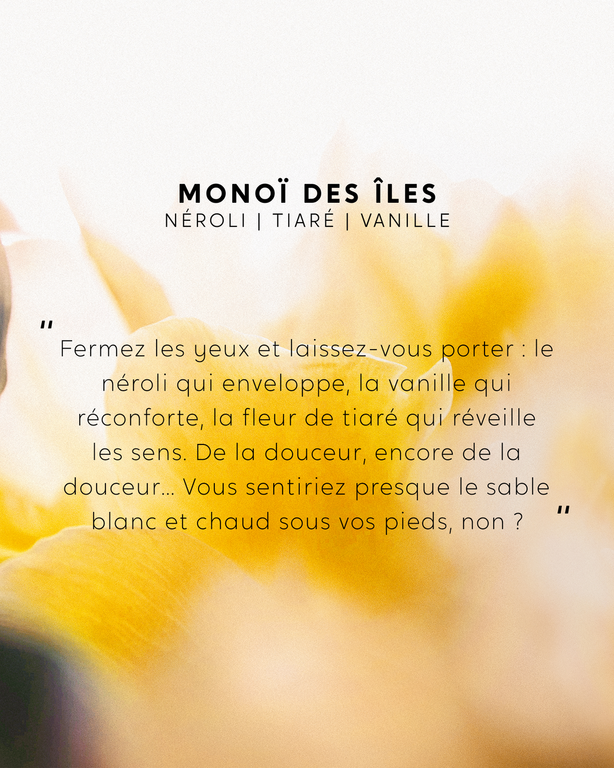 Recharge Monoï des Îles et brins